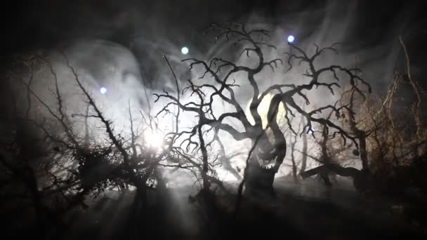 Spookachtig donker landschap met silhouetten van bomen in het moeras op mistige nacht. Nacht mysterieus bos in vuur en dramatische bewolkte nachtelijke hemel. - Video