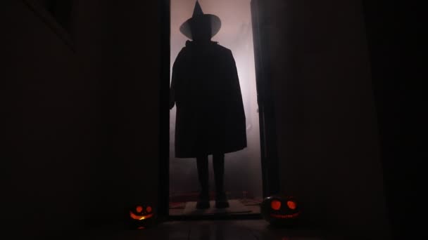 Concepto de Halloween. Silueta espeluznante en el pasillo oscuro con cabeza de calabaza. Luz tonificada con niebla en el fondo. Enfoque selectivo
 - Metraje, vídeo