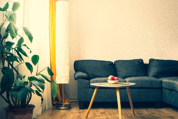 Apartamento acolhedor sala de estar com sofá e almofadas amarelas e mesa elegante com livro por flor e janela com luz azul fora no inverno. Livro do início da noite ler. Copiar parede colar - Foto, Imagem
