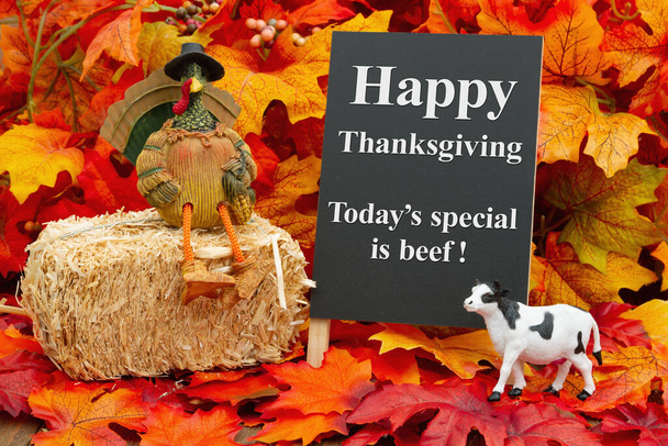 Grappig vrolijk Thanksgiving bord met een kalkoen op een hooi en een koe en herfstbladeren - Foto, afbeelding