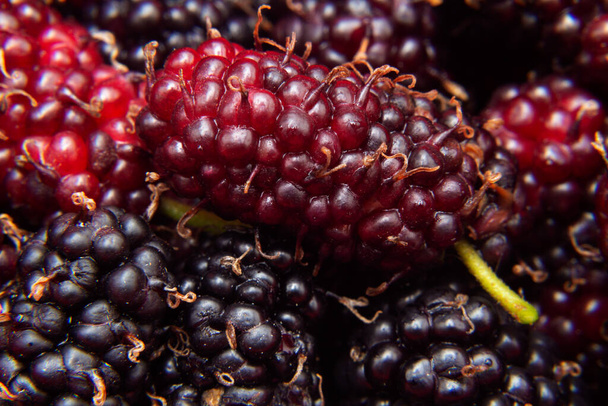 Vers geplukt en kant-en-klare wilde vruchten. Mulberry - vruchten van de moerbeiboom. - Foto, afbeelding
