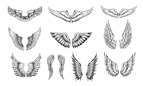 Σύνολο των φτερών σκίτσο χέρι που διανυσματική απεικόνιση - Διάνυσμα, εικόνα