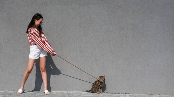 Une jeune femme marche avec un chat gris tabby en laisse contre un mur gris - Photo, image