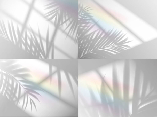 パームは虹の背景のオーバーレイ、ベクトルウィンドウと植物の枝のシルエットと影を残します。夏のヤシの葉の影が窓から太陽の光の影とオーバーレイ、現実的な虹の光効果 - ベクター画像