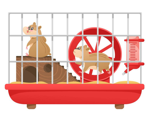 Cartoon hamster cage. Cute pet runs in wheel, pair of small happy hamsters in pet store isolated vector illustration. Adorable fat animal friends habitat, rodent and equipment in shop - Vector, Image