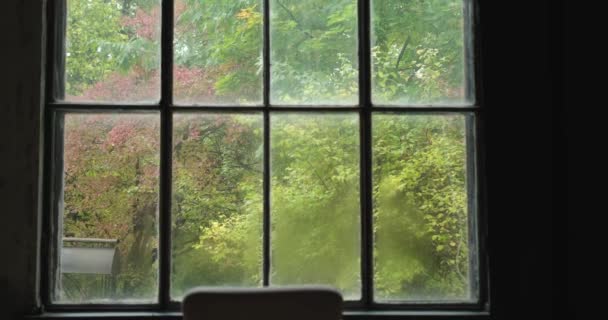 Vredesconcept: stoel voor het enorme raam met uitzicht op de tuin of het bos in herfstkleuren. Winderig en mistig weer buiten. Herfstseizoen. Hoge kwaliteit 4k videobeelden - Video