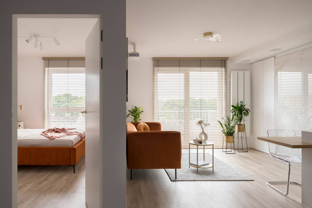 Stylish and bright apartment with big windows and bedroom next to living room - Foto, Imagem