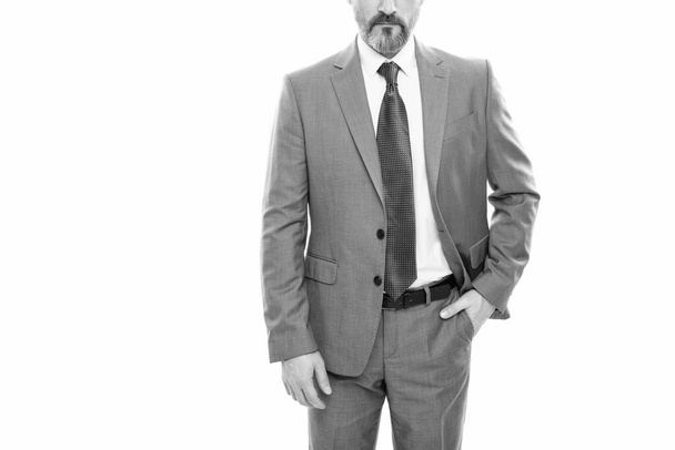 cropped entrepreneur isolated on white. formal fashion. professional bearded ceo. confident boss. copy space. businessman in formalwear. business success. successful man in businesslike suit. - Fotoğraf, Görsel