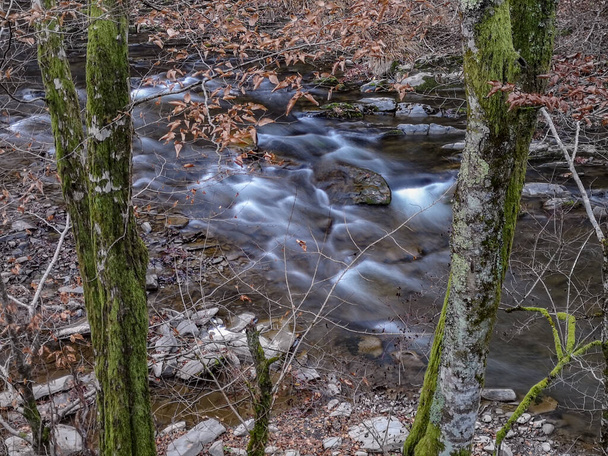 River in the autumn mountain forest - Foto, immagini
