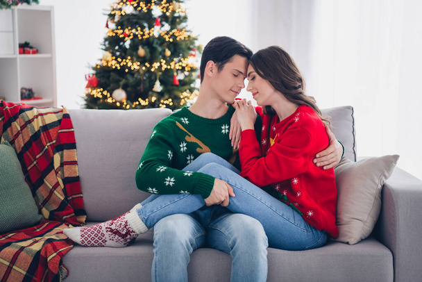 Πορτρέτο φωτογραφία των νέων εραστές ζευγάρι απολαμβάνουν το χρόνο που περνούν μαζί φορούν πουλόβερ νέο έτος πνεύμα κάθονται καναπέ καρό κοντά φώτα φωτισμού χριστουγεννιάτικο δέντρο. - Φωτογραφία, εικόνα