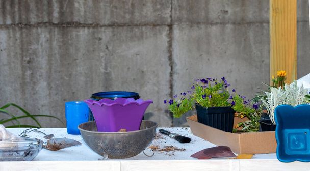 This DIY potting table is being put to good use. A great spot for transplanting and tending to tender plants and flowers. Bokeh. - Foto, imagen