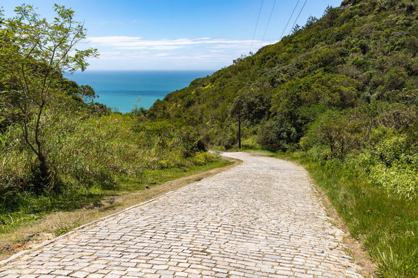 Дорога до пляжу в Канто - Гранде (Бомбінас, Санта - Катаріна, Бразилія). - Фото, зображення
