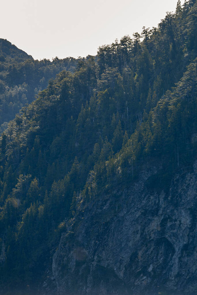 прекрасный вид на горы и лес
 - Фото, изображение
