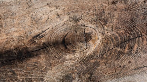 Texture , old wooden plank with different veins - Photo, Image