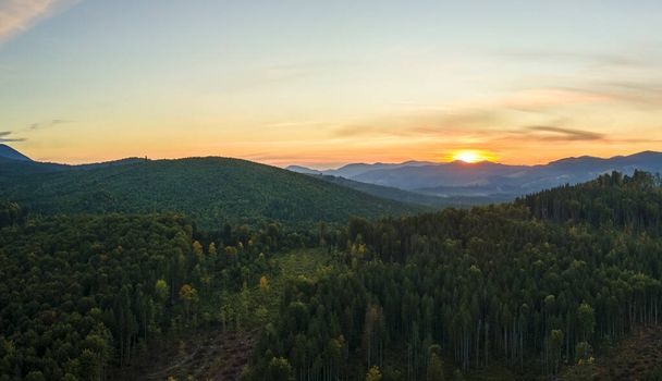 Αεροφωτογραφία των σκουρόχρωμων βουνών λόφων που καλύπτονται με κομμένα δασικά πεύκα ως αποτέλεσμα της διαδικασίας αποψίλωσης των δασών το φθινόπωρο ανατολή του ηλίου. Όμορφα άγρια δάση απειλούνται. - Φωτογραφία, εικόνα
