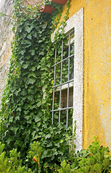 gele venster - Foto, afbeelding
