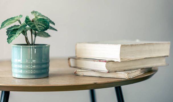 Egy halom könyv és egy szobanövény egy edényben homályos háttérrel a szoba belsejében közelkép. - Fotó, kép