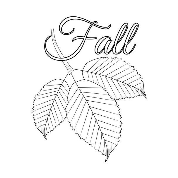 vector drawing of leaves, sketch illustration - Vector, Image