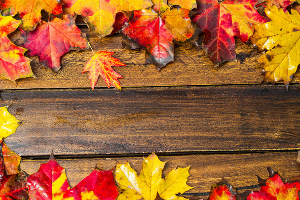 Colorful autumn maple leaves on dark wooden background - Foto, Bild