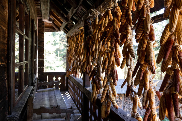 Сушеные кукурузы, висящие на крыльце в старом доме, пространство для копирования. - Фото, изображение