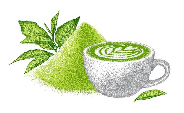 Beyaz seramik bardakta yeşil kibrit latte. Bir yığın kibrit ve çay yaprağı. Gerçekçi çizim. Asya Japon içeceği. Vintage tarzında illüstrasyon. El çizimi vektör. - Vektör, Görsel