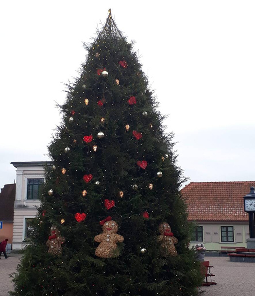 Bellissimo albero di Natale con biscotti di pan di zenzero e forme del cuore. Paesaggio fotografia. - Foto, immagini