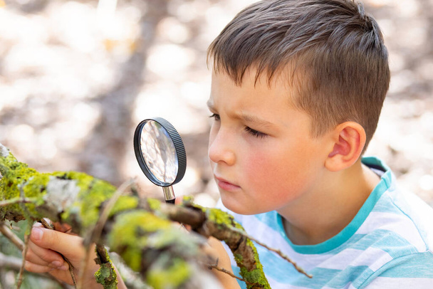 Zvědavý chlapec zkoumá přírodu s lupou venku. - Fotografie, Obrázek
