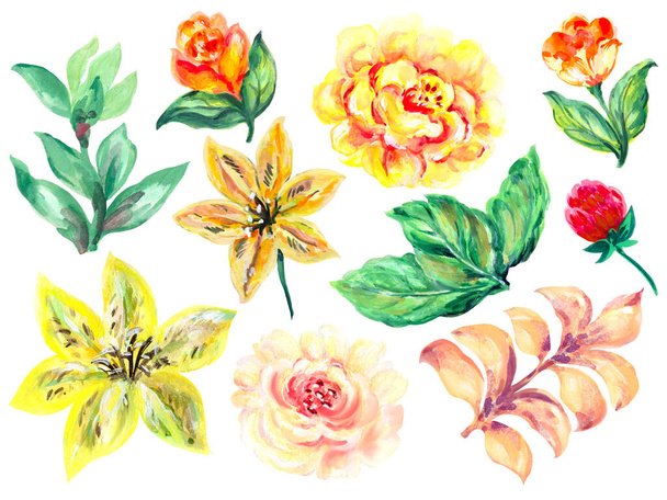 Starověký prvek botanická příroda kvetoucí květiny sezóna rostliny zahradní arangement ornament pro módu, tkaniny, papír, interiér - Fotografie, Obrázek