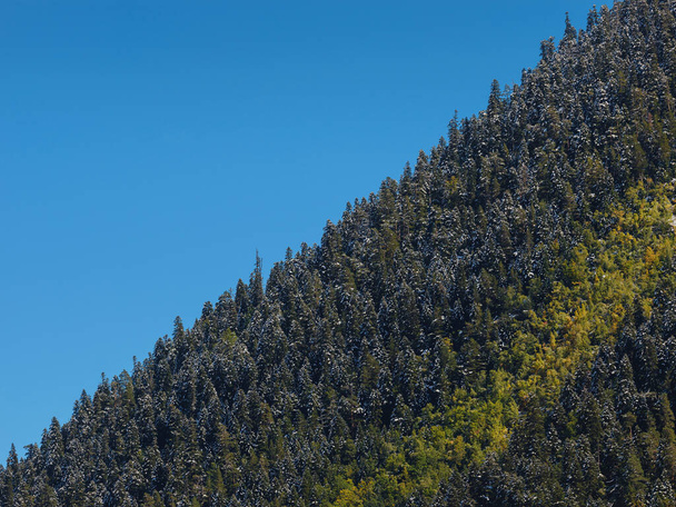 ταξίδι από Irkis Valley, Arkhyz, Karachay-Cherkessia, Βόρειος Καύκασος. χιονισμένη κοιλάδα του βουνού με μπλε ουρανό και σύννεφα και όμορφο δάσος κοντά στον ποταμό Ψυχή, Καύκασο φυσικό καταφύγιο. Αλπικό τοπίο. - Φωτογραφία, εικόνα