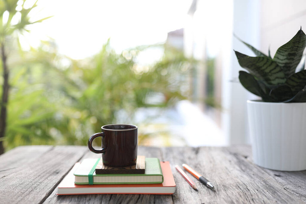 Borwn coffee cup and Hahnii mini snake plant pot and notebook - Photo, Image