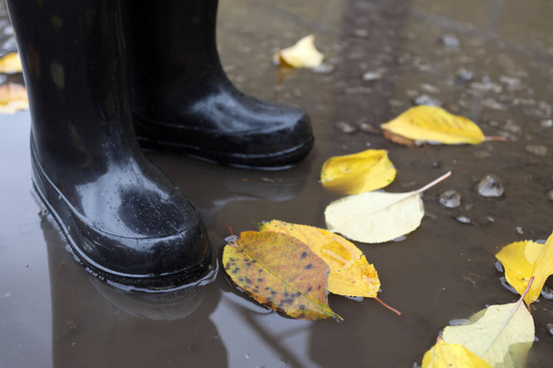 niño en botas de goma en el charco de otoño después de la lluvia con hojas amarillas - Foto, Imagen