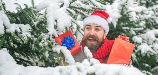 Funny excited Santa with gift outdoor. Hipster man with Santa hat having fun outdoors. Guy happy face snowy nature background - Фото, зображення