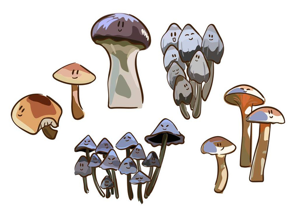 Kreslené houby. Jedovaté a jedlé houby, lišejník, hřib, amanita a lanýž izolované vektorové ilustrační set. - Vektor, obrázek