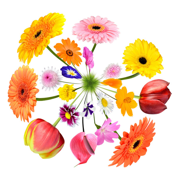 Küçük çim gezegende renkli çiçekleri - Fotoğraf, Görsel