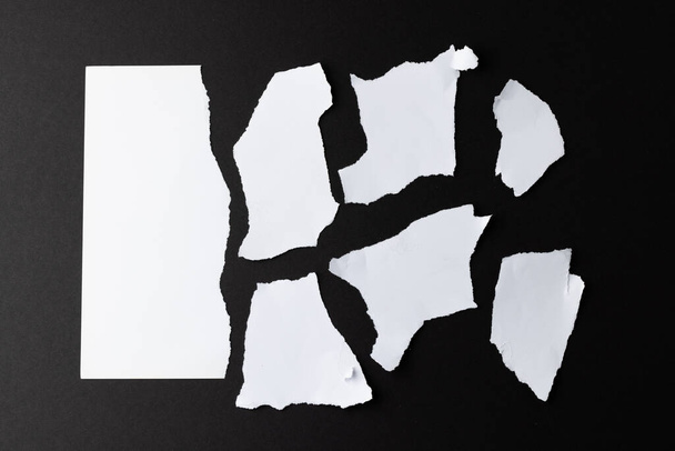 Ripped up pieces of white paper with copy space on black background. Abstract paper texture background and communication concept. - Foto, afbeelding