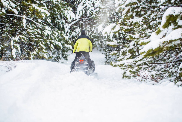 Pilot on a sports snowmobile in a mountain forest. Athlete rides a snowmobile in the mountains. Snowmobile in snow. Concept winter sports. Man is riding snowmobile in mountains. - 写真・画像