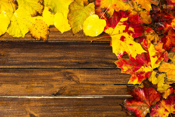 Folhas de bordo de outono coloridas no fundo de madeira escura - Foto, Imagem