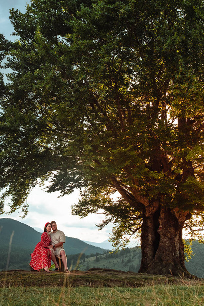 a couple sits on a bench by a big old beech tree with a view of the carpathians mountains - Photo, Image