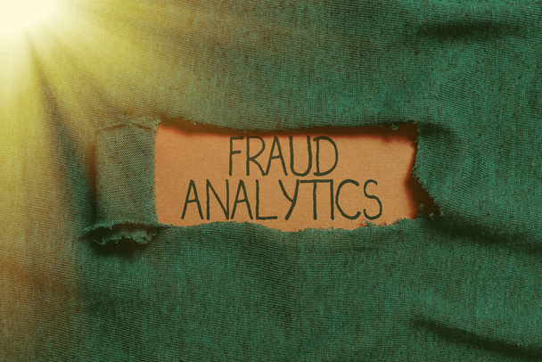 Handwriting text Fraud Analytics, Business overview identification of actual or expected fraud to take place - Photo, Image