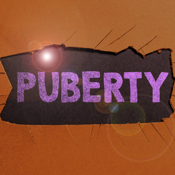 Conceptuele weergave Puberteit, Zakelijk overzicht van de periode van voor het eerst in staat om seksueel te reproduceren - Foto, afbeelding