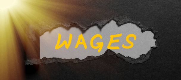 Текстовый знак, показывающий заработную плату, интернет-концепцию фиксированного регулярного платежа за работу или услуги, оплачиваемые ежедневно - Фото, изображение