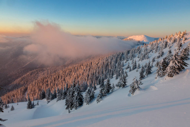 красивый зимний закат над снежной альпийской горой с ветреными оранжевыми облаками, Мармаросы, Карпаты - Фото, изображение