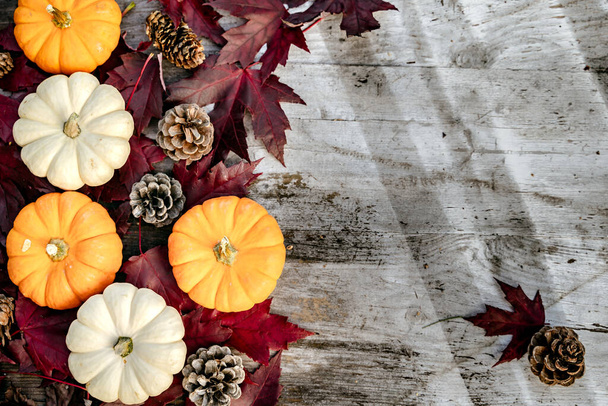 Kürbisse, getrocknete Blätter und Kiefern mit Herbstkomposition auf Holzgrund. Herbst, Herbst, Halloween-Konzept. Flache Lage, Draufsicht, Kopierraum - Foto, Bild