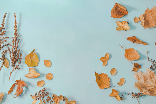 Őszi vagy téli kompozíció. szárított őszi levelek és fahéj. Lapos fekvésű, felülnézet. - Fotó, kép