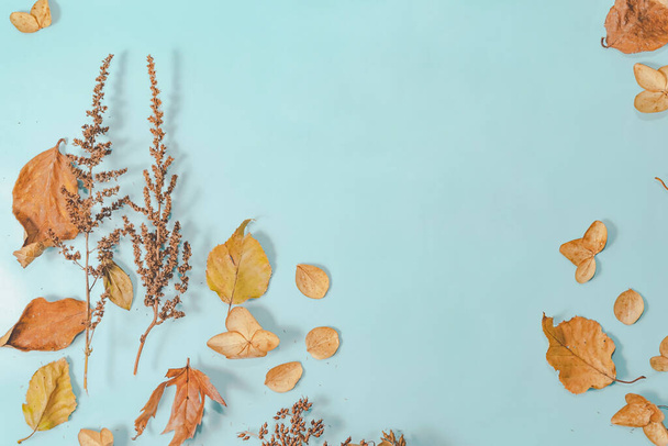 Φθινοπωρινή ή χειμερινή σύνθεση. αποξηραμένα φθινοπωρινά φύλλα και κανέλα. Επίπεδο lay, πάνω όψη. - Φωτογραφία, εικόνα