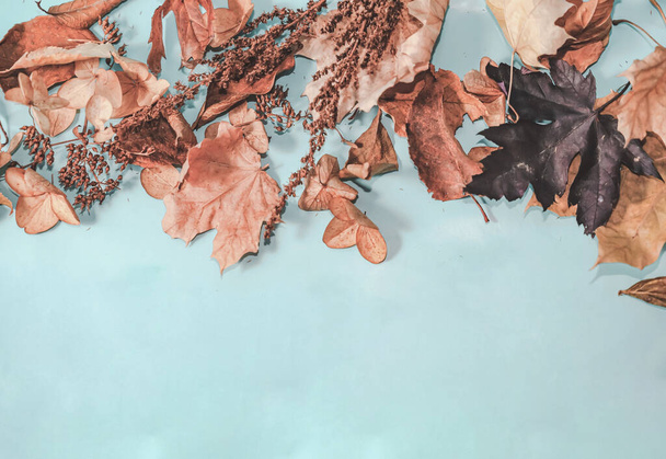 Осень или зимняя композиция. сушеные осенние листья и корица. Плоский, вид сверху. - Фото, изображение