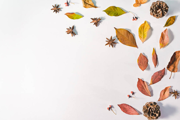 Herfst of Winter compositie. gedroogde herfstbladeren en kaneel. Vlakke lay, bovenaanzicht. - Foto, afbeelding
