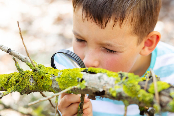 Curious boy is exploring nature with magnifying glass outdoors. - Fotoğraf, Görsel