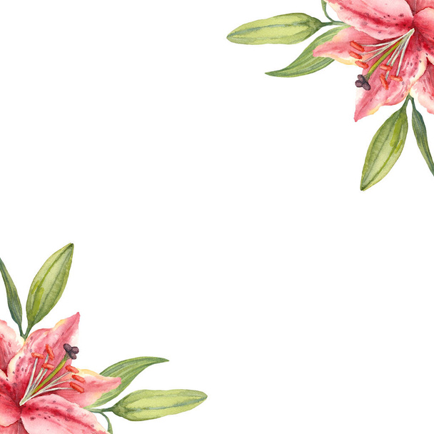 Two Pink Stargazer Lily flowers and buds. Square greeting card template. Watercolor illustration on white background. - Foto, Imagem