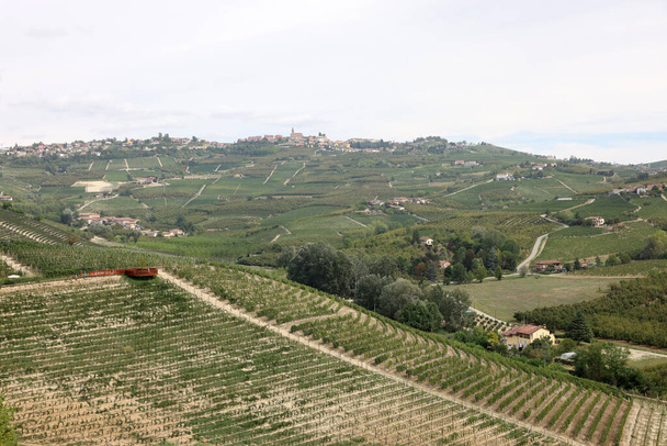 Langhe vineyards near Grinzane Cavour. Unesco Site, Piedmont, Italy - Photo, Image